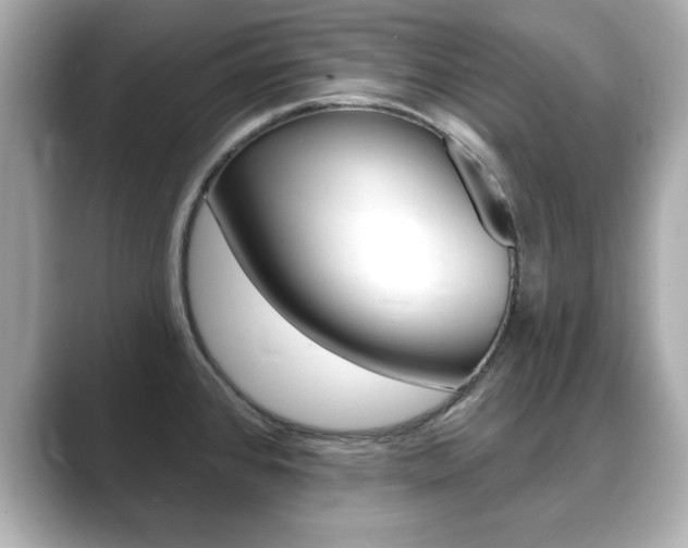 X0000089741384200706210855