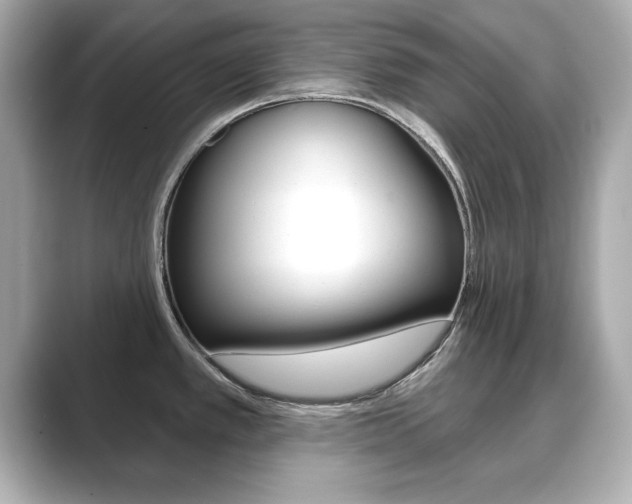 X0000089741389200706210855