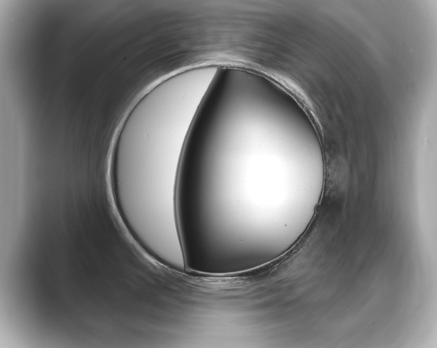 X0000089741391200706210855