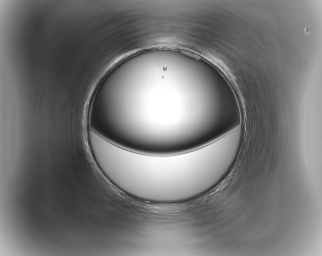 X0000089741392200706210855