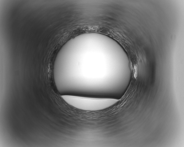 X0000089741395200706210854