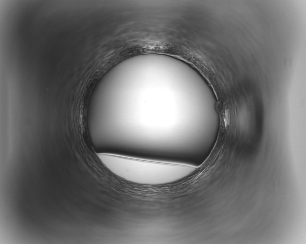 X0000089741396200706210854