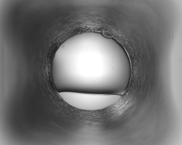 X0000089741397200706210854