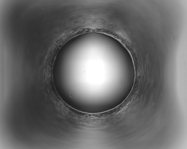 X0000089741398200706210854