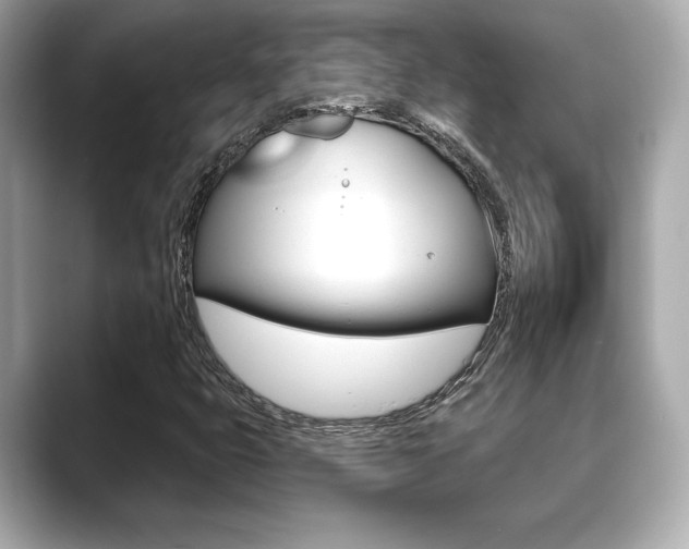 X0000089741399200706210854