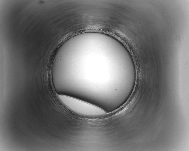 X0000089741401200706210854