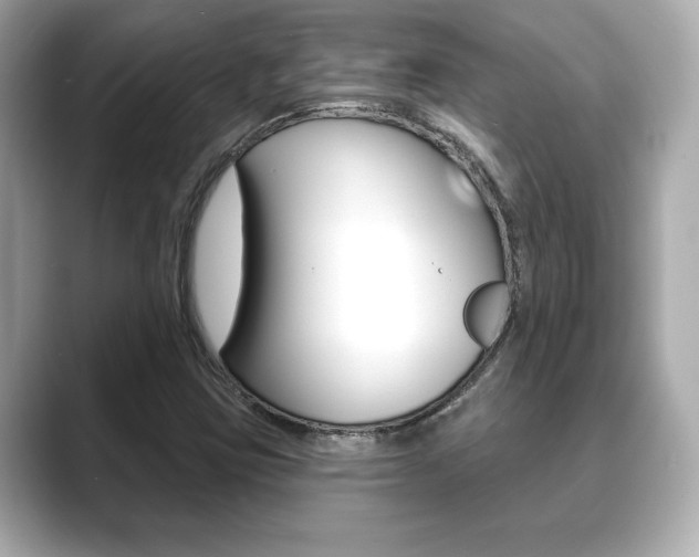 X0000089741403200706210854