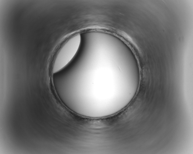 X0000089741408200706210855