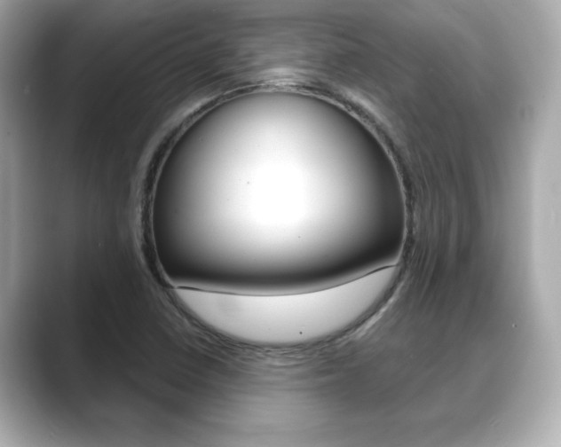 X0000089741410200706210855