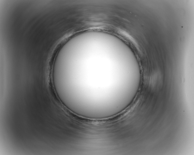 X0000089741411200706210855