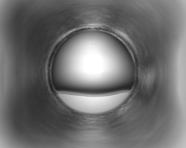 X0000089741412200706210855