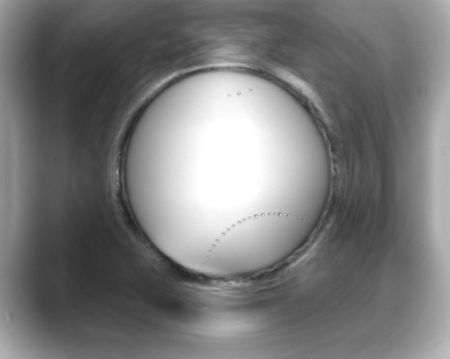 X0000089741415200706210855