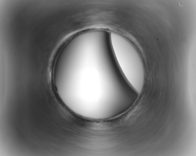 X0000089741416200706210855