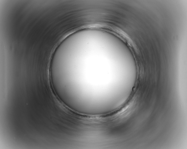 X0000089741417200706210855
