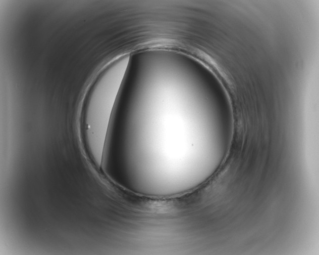 X0000089741418200706210855