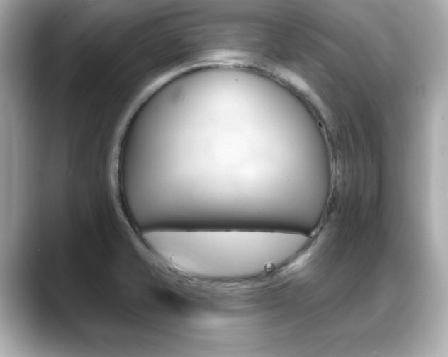 X0000089741421200706210855