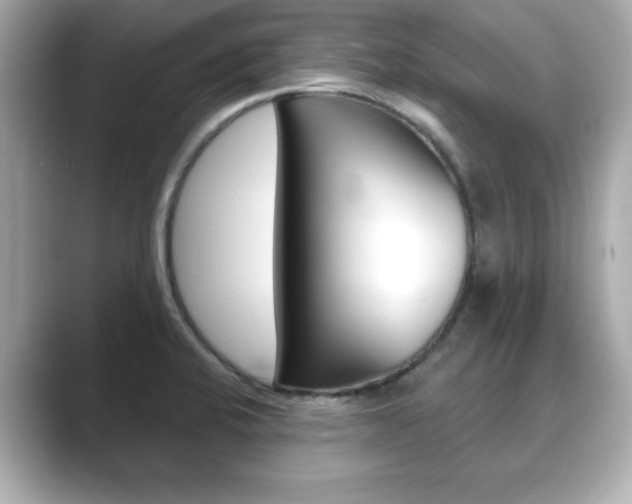 X0000089741424200706210855