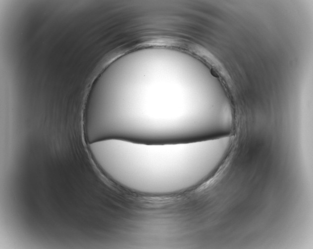 X0000089741425200706210855
