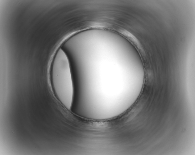 X0000089741427200706210855