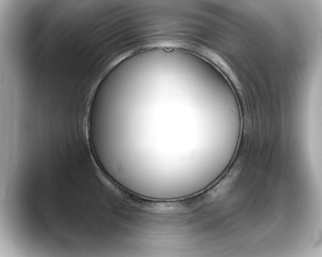 X0000089741433200706210855