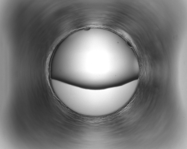X0000089741435200706210855