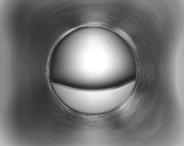 X0000089741436200706210855