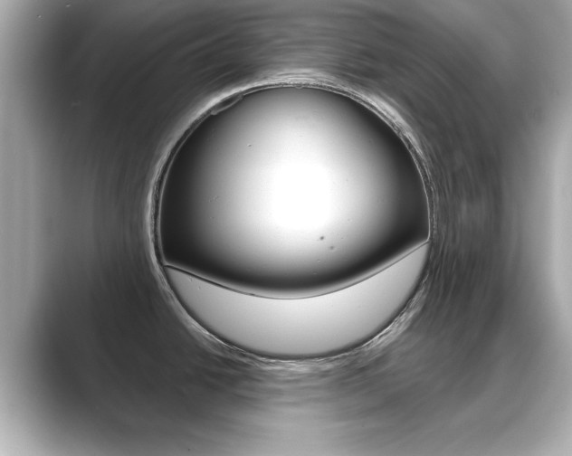 X0000089741438200706210855