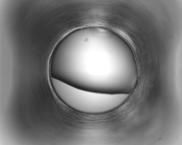 X0000089741439200706210855