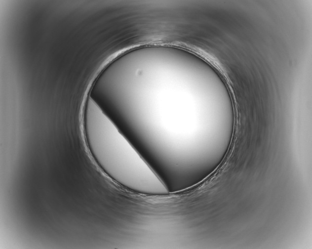 X0000089741440200706210855
