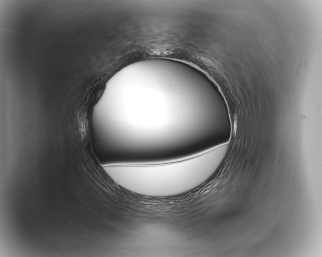 X0000089741444200706210854