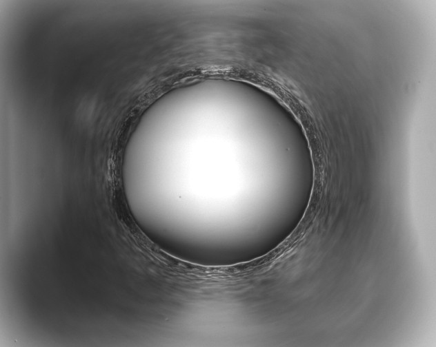 X0000089741445200706210854