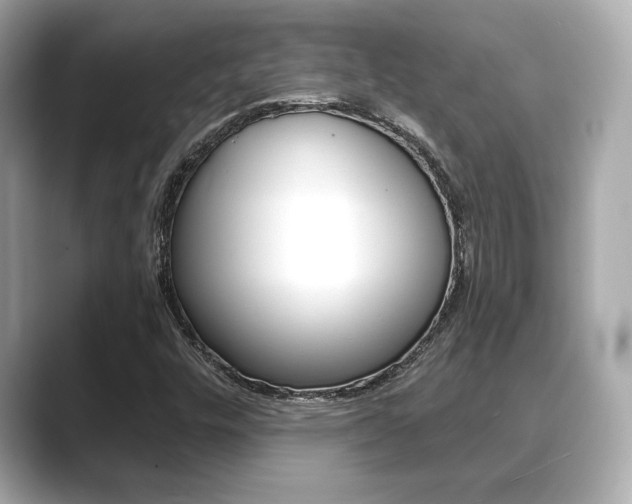 X0000089741448200706210854