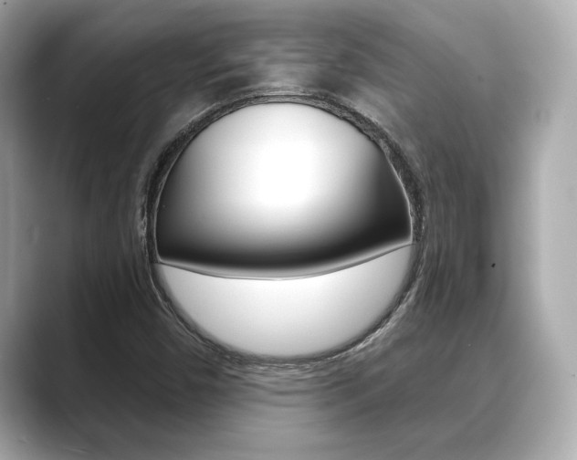 X0000089741450200706210854