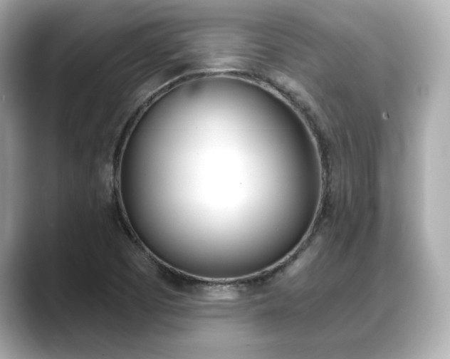 X0000089741457200706210854