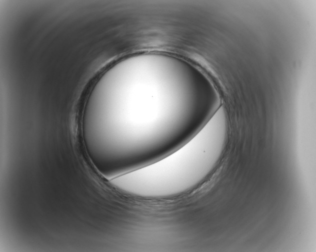 X0000089741458200706210854