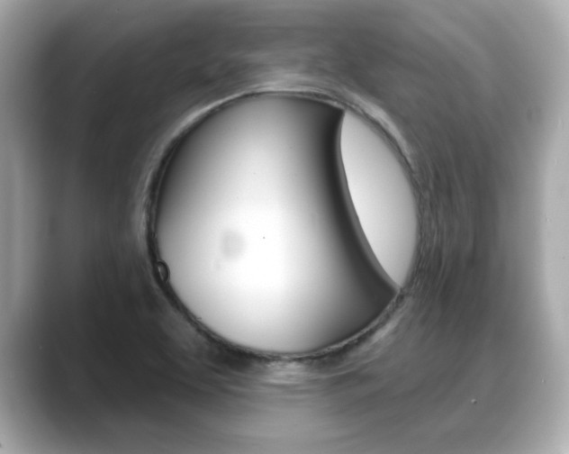 X0000089741463200706210854