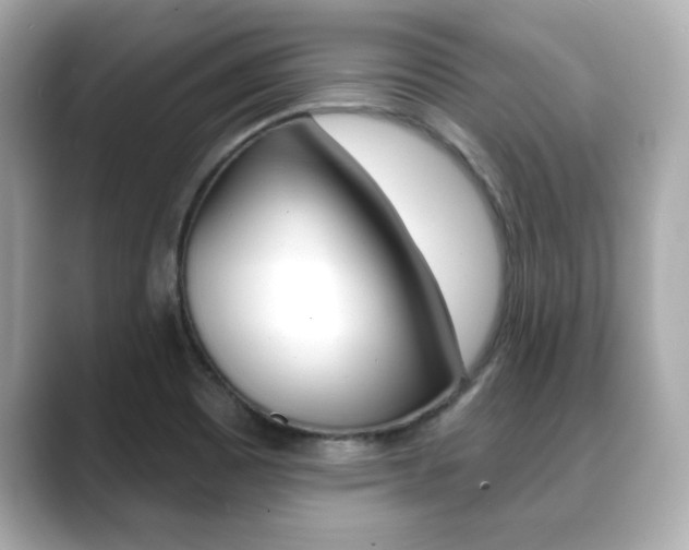 X0000089741465200706210854