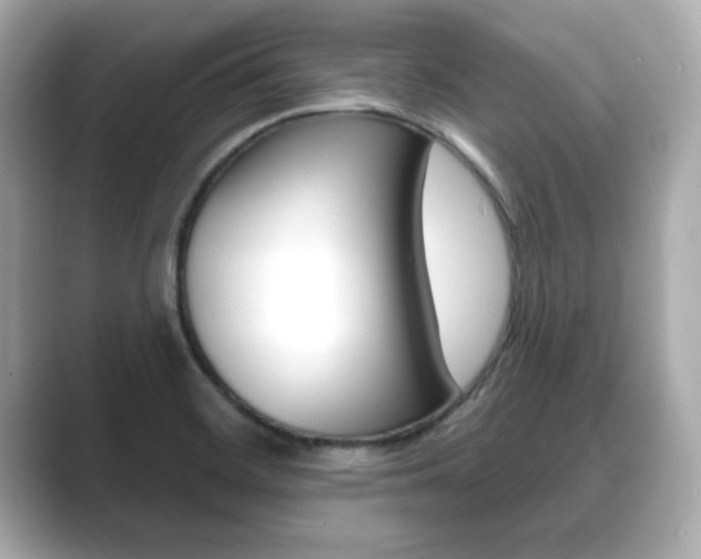 X0000089741468200706210854