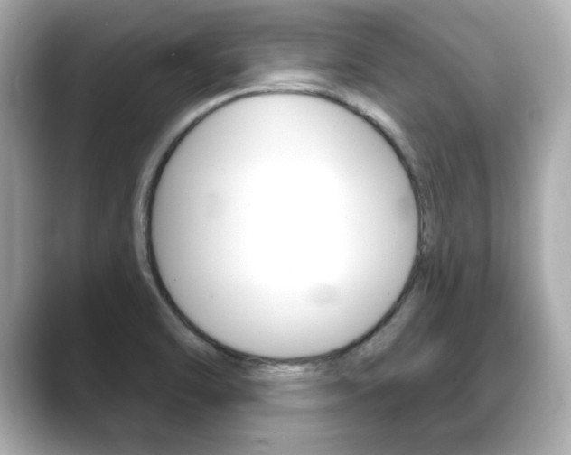 X0000089741470200706210854