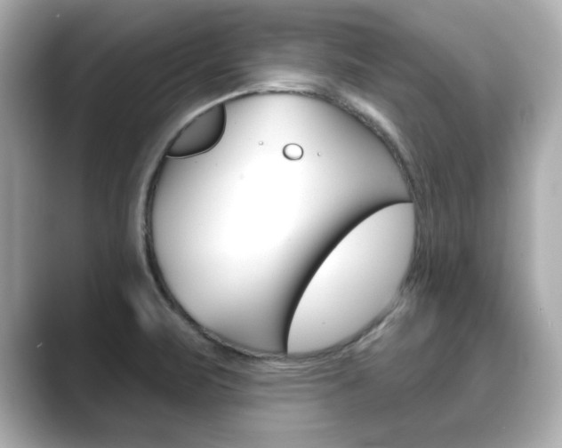 X0000089741471200706210854