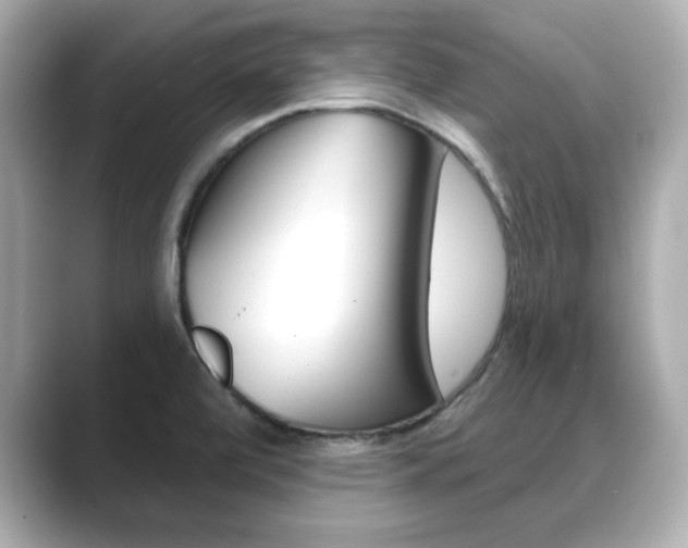 X0000089741472200706210854