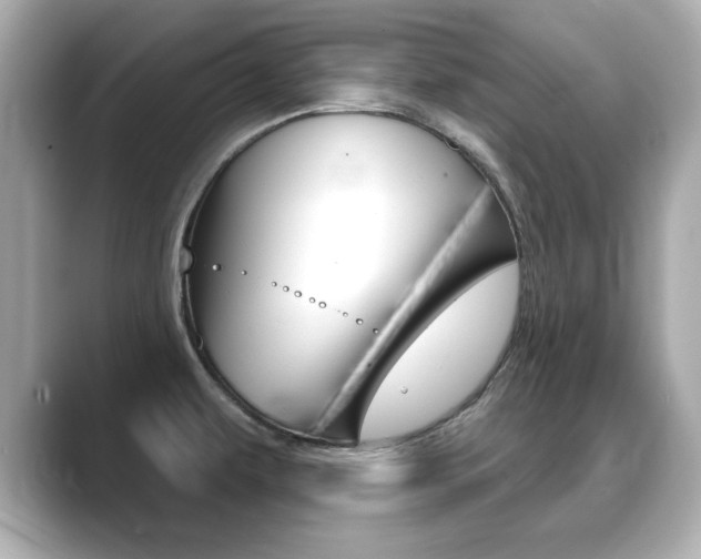 X0000089741479200706210854