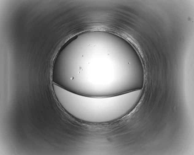 X0000089741481200706210854