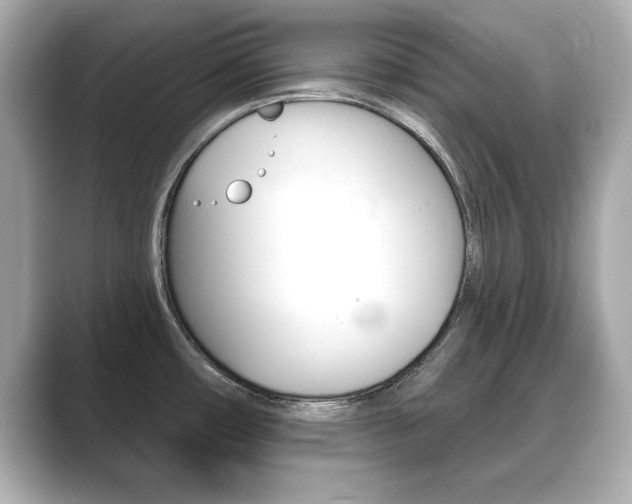 X0000089741482200706210854