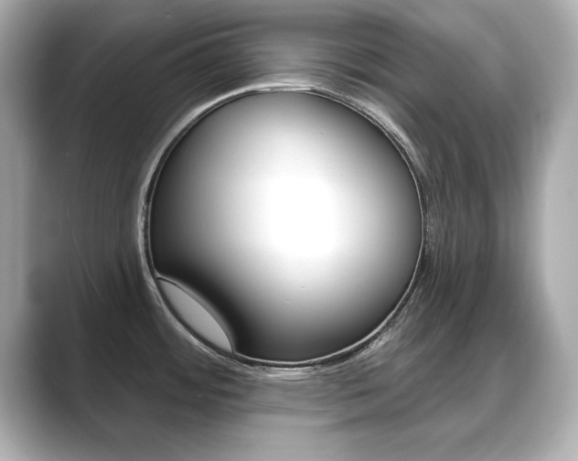 X0000089741484200706210854