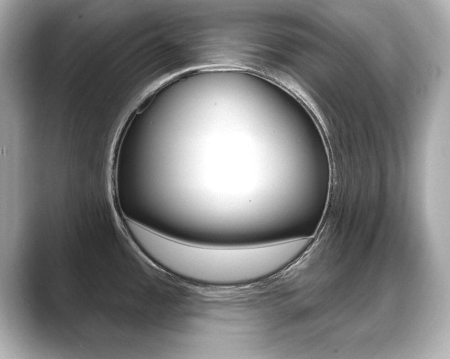 X0000089741485200706210854