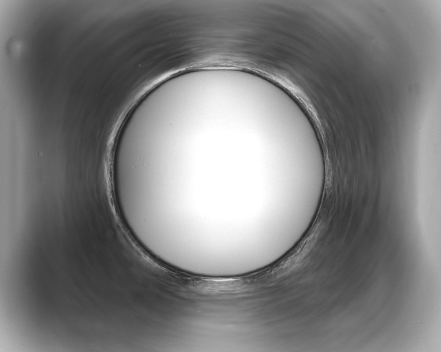 X0000089741486200706210854