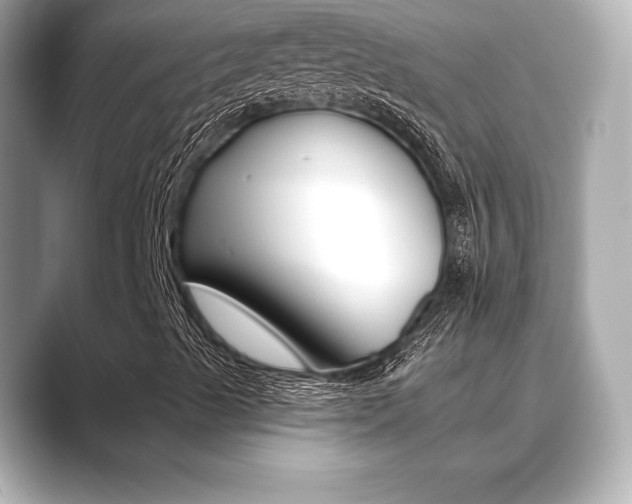 X0000089741489200706210853