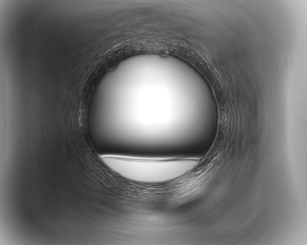 X0000089741490200706210853