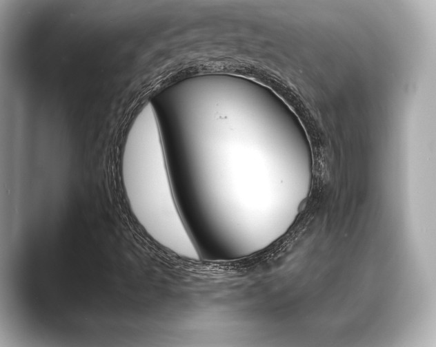 X0000089741493200706210853
